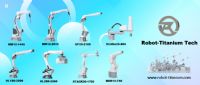 Robot industrial